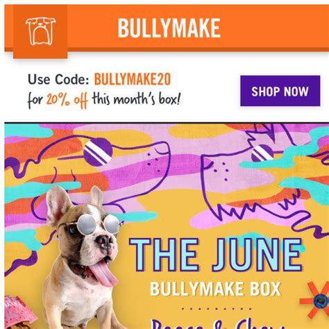 Bullymake coupon code 2021  BULLYMAKE BOX